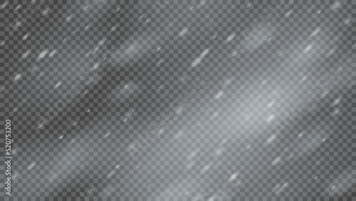 Snowstorm and falling snowflakes