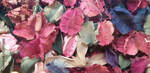 dry rose petals with many colors