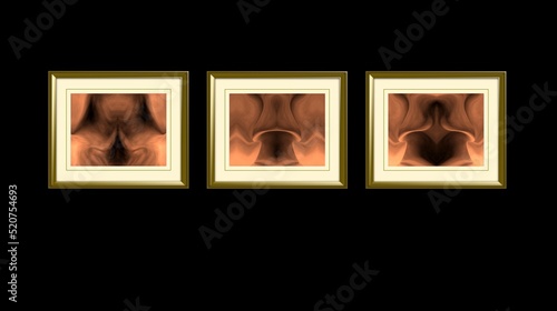 Composition of 3 clasic frames with 3 states of arousal of the female vulva on a black background,