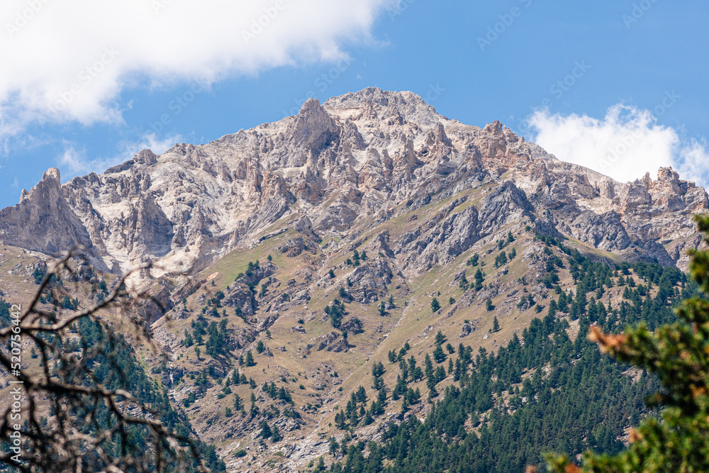 Fototapeta premium Beautiful view of the Italian French Alps between Italy and France with fir trees forest and blue sky