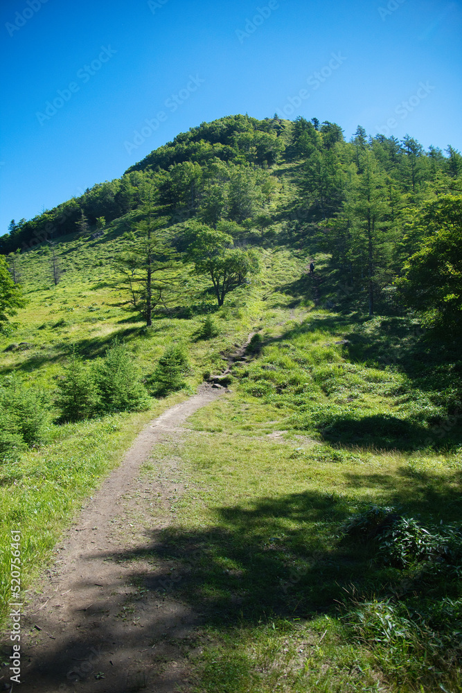 笠取山への心臓破りの坂