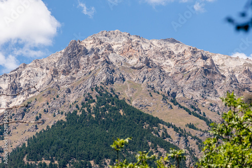 Beautiful view of the Italian French Alps between Italy and France with fir trees forest and blue sky photo