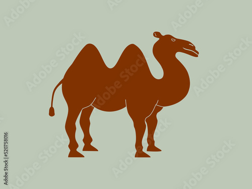 Wallpaper Mural camel cartoon illustration Torontodigital.ca