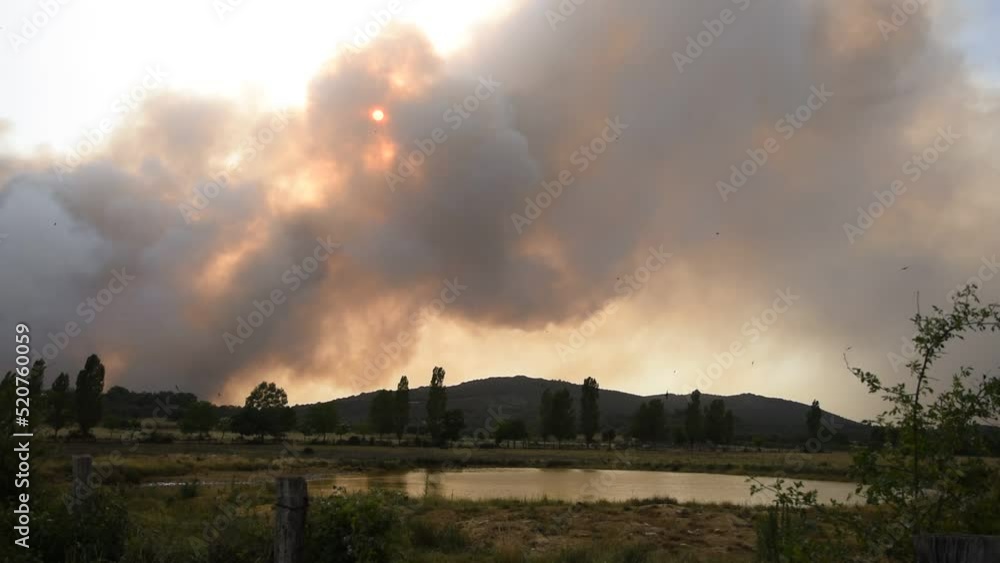 Smoke Over Burning Forest. Large Smoke Clouds in a Wild Fire Smoke Over Burning Forest. Large Smoke Clouds in a Wild Fire