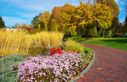 Autumn park with colorful fall foliage