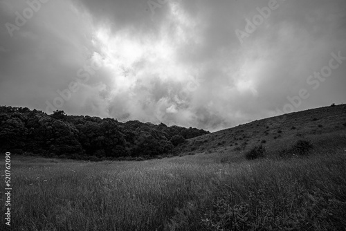Black and white photo of grassland and overcast sky.