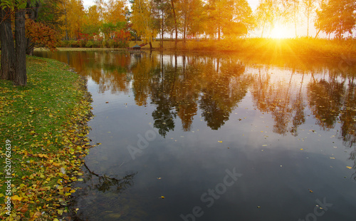 Autumn landscape with lake, green grass and colourful trees