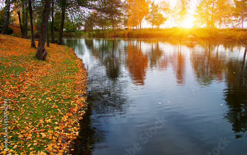 Autumn landscape with lake, green grass and colourful trees