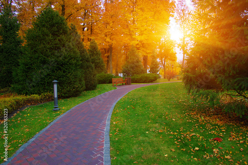Autumn park with colorful fall foliage