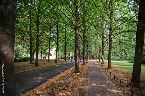 Münster, Germany, July 29, 2022: footpath and bicycle path between four rows of trees on the city's promenade around the historic center