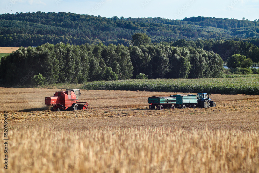 Obraz premium Żniwa 2022