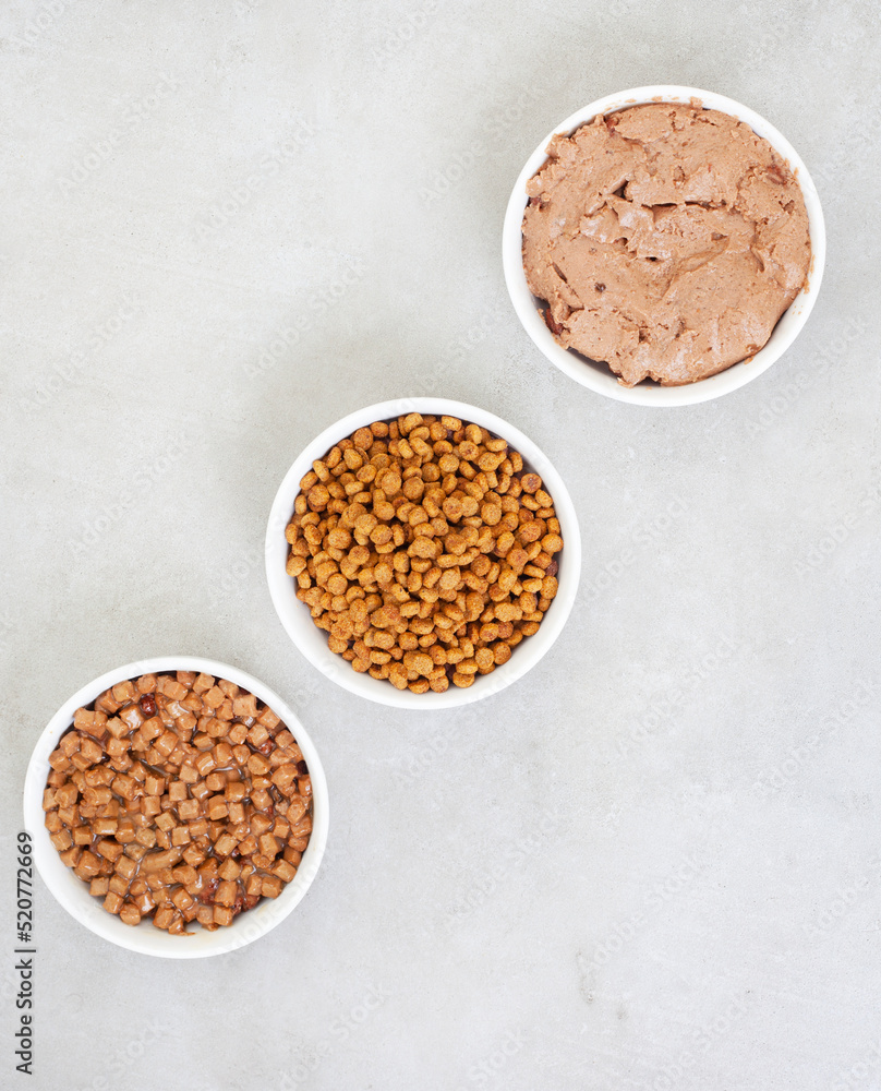 Different types of cat food in straight line on grey surface with copy