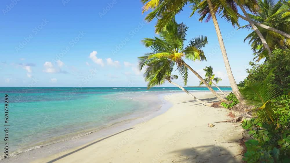 Tropical palm beach with white sand and transparent sea wave. Blue cloudy sky over the azure surface of the turquoise sea. no motion camera. Tropical palm beach with white sand and transparent sea wave. Blue cloudy sky over the azure surface of the turquoise sea. no motion camera.