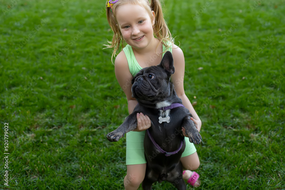 little girl in the park trying to pick up a french bulldog little girl in the park trying to pick up a french bulldog