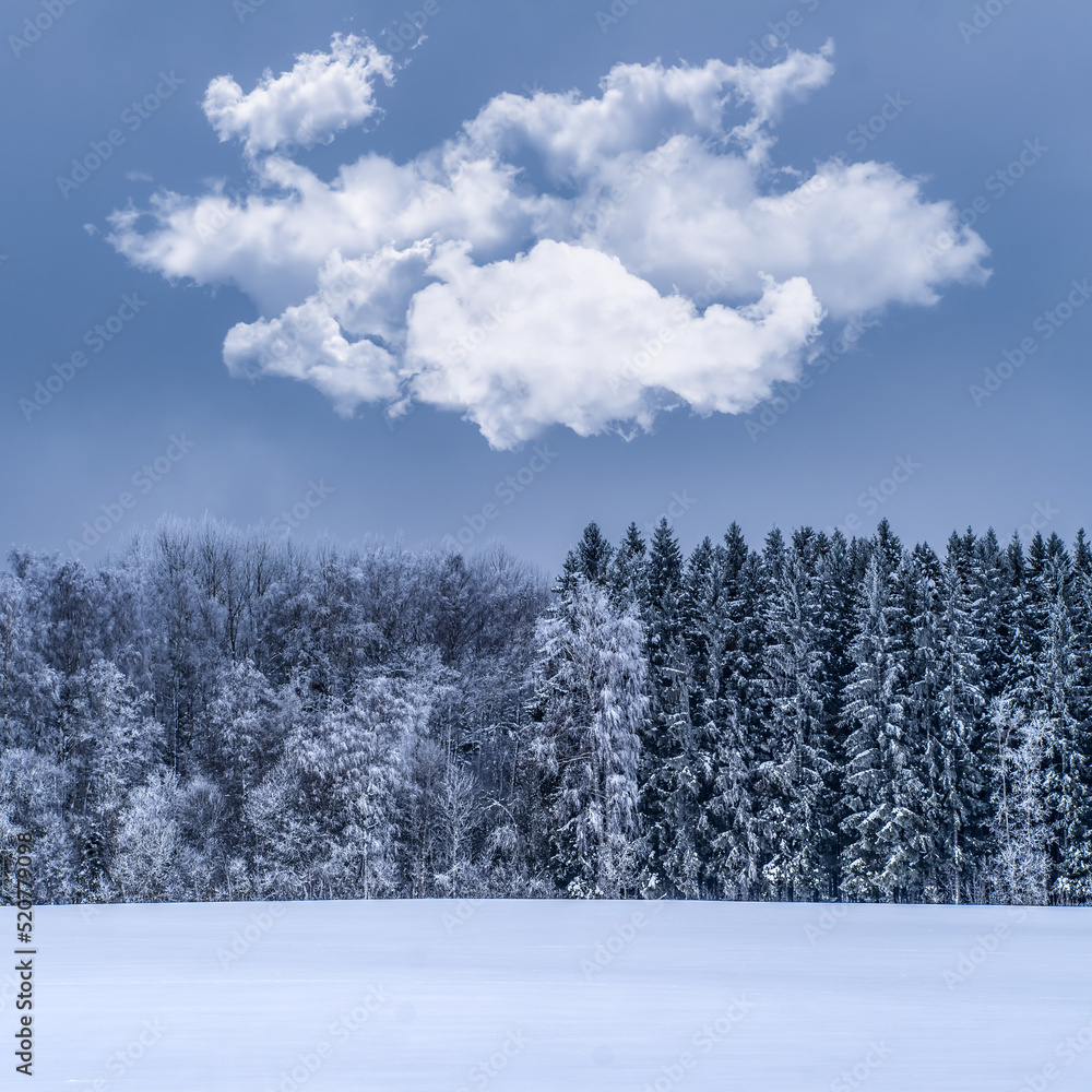 Beautiful winter landscape. Snowy forest. Cloud in sky. Beautiful winter landscape. Snowy forest. Cloud in sky.