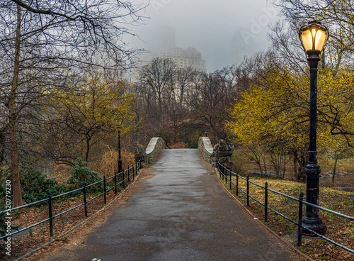 Gapstow Bridge in Central Park photo