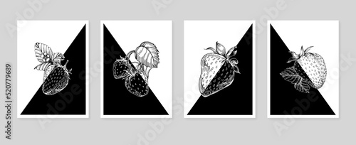 Set of Abstract Strawberry Hand Painted Illustrations for Wall Decoration, minimalist flower in sketch style. Postcard, Social Media Banner, Brochure Cover Design Background. Modern Abstract Artwork.