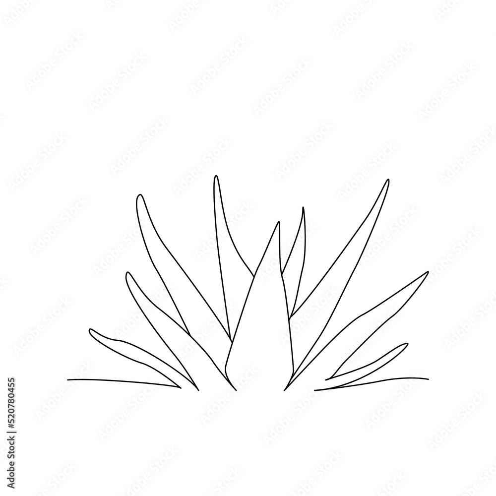 Fototapeta premium Succulents shapes, icon Potted plants, linear icons. Line with editable stroke