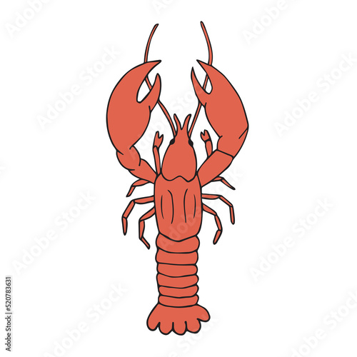 Vector hand drawn doodle sketch colored lobster isolated on white background