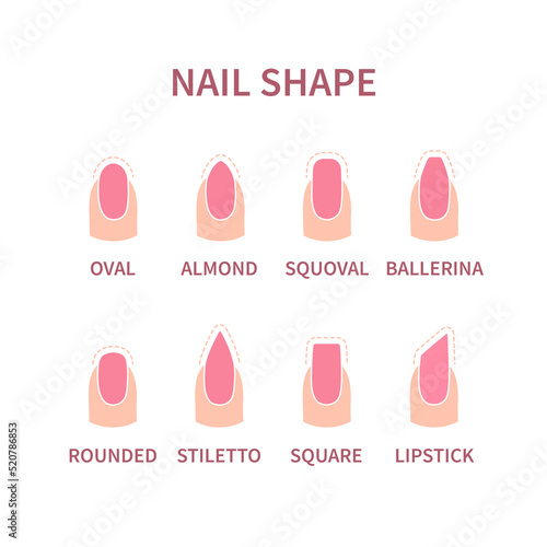 Set of nail shapes with contours. Fingernails of different form with pink polish. Professional manicure beauty concept. Vector illustration.