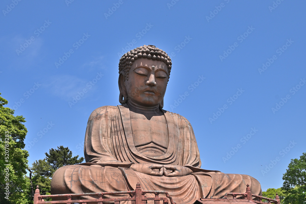 Fototapeta premium 静かに見つめる仏像