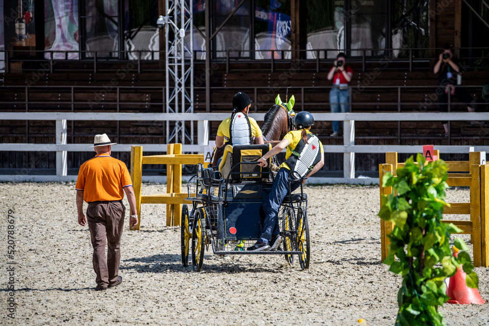 sledge races according to a complex program on the field for equestrian events sledge races according to a complex program on the field for equestrian events
