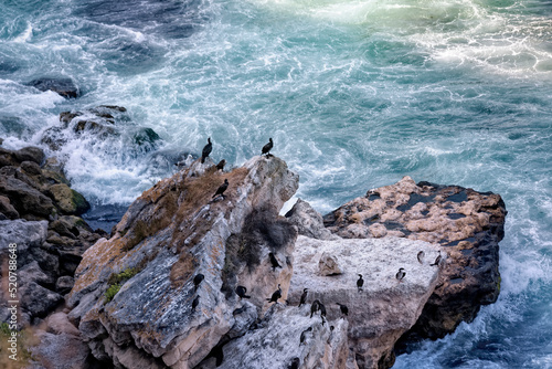 Waves and rocky coast. Kiyikoy Town of Kirklareli city in Turkey. Black Sea Coast. Cormorant birds resting on the rocks while tide waves surf to the shoreline.