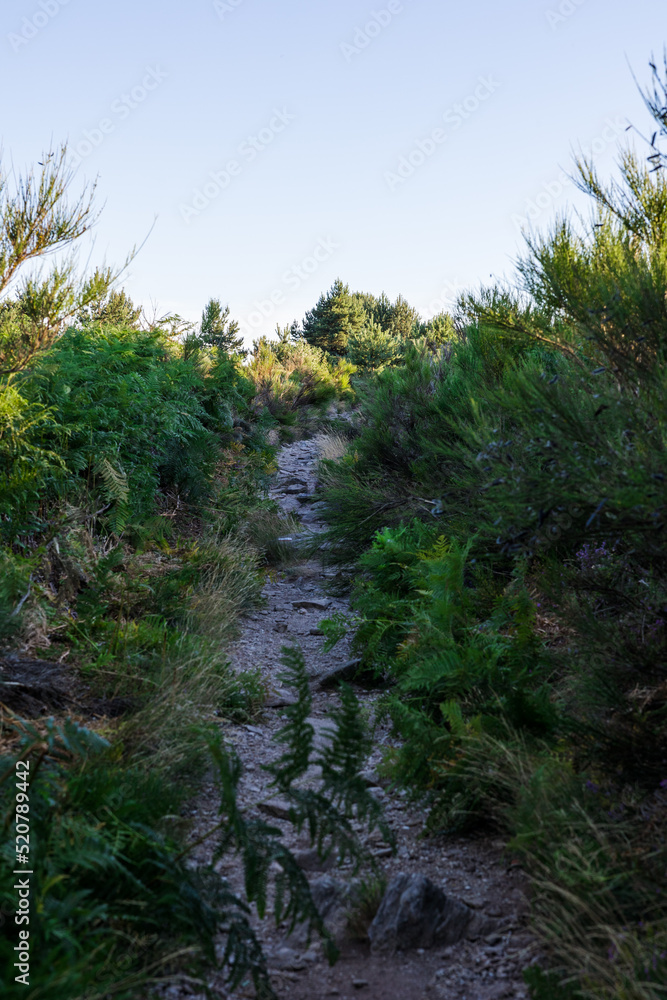 Chemin de randonnée au sommet du Mont Caroux près du hameau de Douch Chemin de randonnée au sommet du Mont Caroux près du hameau de Douch