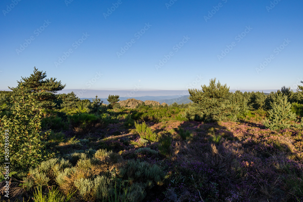 Vue matinale sur les paysages des Monts de l'Espinouse depuis le sommet du Caroux dans le Parc naturel régional du haut-Languedoc