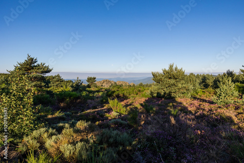 Vue matinale sur les paysages des Monts de l'Espinouse depuis le sommet du Caroux dans le Parc naturel régional du haut-Languedoc photo