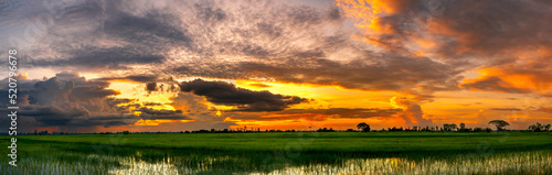 Panorama Super storm with orange sun light , Dark sky and dramatic black cloud before rain.rainy storm over rice fields,countryside Thailand,ASIA.