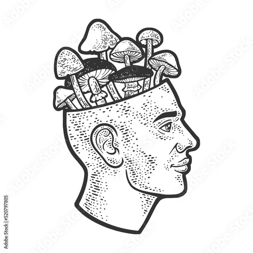 mushrooms drug psychedelic from the head sketch engraving vector illustration. Scratch board imitation. Black and white hand drawn image.