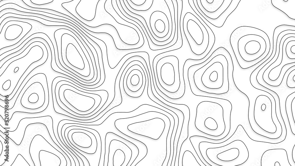 White wave paper curved reliefs abstract background, Abstract topographic contours map background. Geographic mountain relief. Abstract lines background. Contour maps. Business concept.