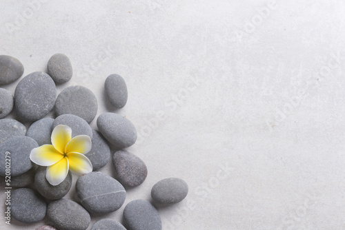 Frangipani and zen like grey stones with copy space on gray background  