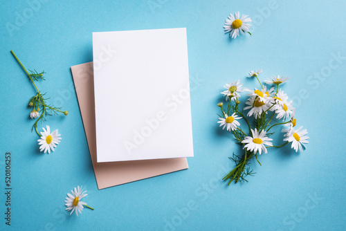 Blank card and daisy flowers