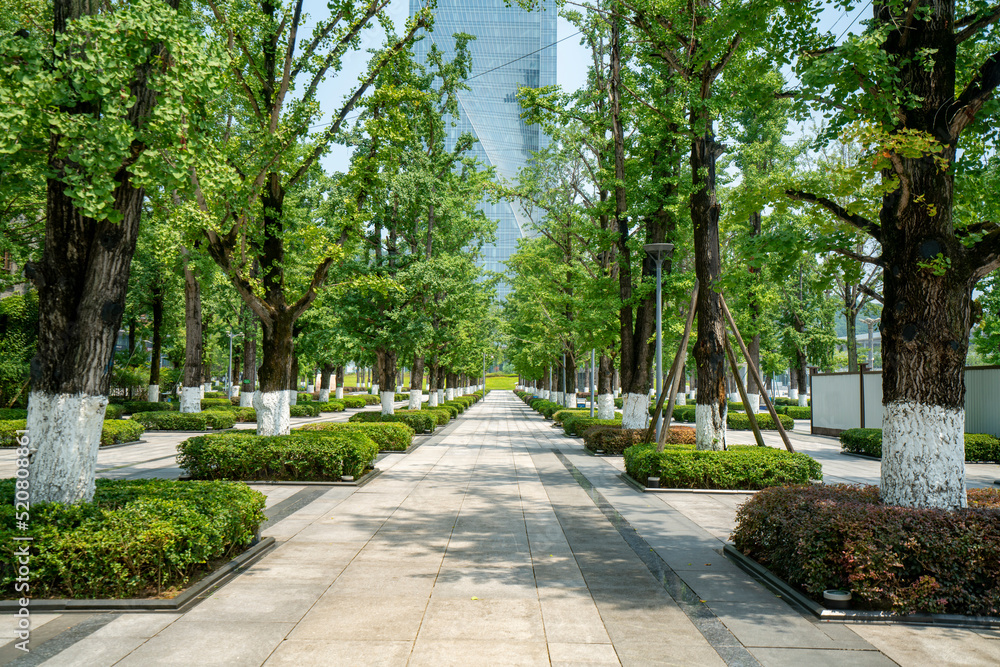 Beautiful Wetland Park and urban skyline in Chongqing, China Beautiful Wetland Park and urban skyline in Chongqing, China