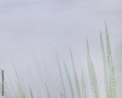 Pale green grass on white background with space for text. Abstract sedge. Natural colors watercolor painting brush strokes.