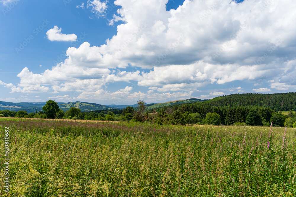 Das Naturschutzgebiet Lange Rhön in der Kernzone des Biosphärenreservat Rhön, Hessen, Bayern, Deutschland