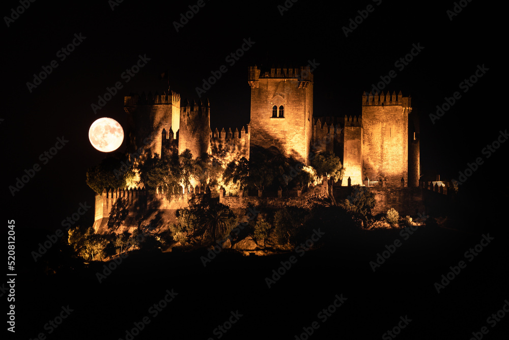 Fototapeta premium Almodovar del Rio Castle, in the province of Cordoba, Andalusia, Spain.
