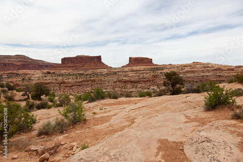 Red Rock Formations and Mountains in the Desert. Spring Season. Moab Utah, United States. Adventure Travel.