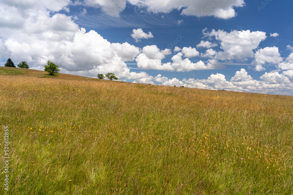 Das Naturschutzgebiet Lange Rhön in der Kernzone des Biosphärenreservat Rhön, Hessen, Bayern, Deutschland Das Naturschutzgebiet Lange Rhön in der Kernzone des Biosphärenreservat Rhön, Hessen, Bayern, Deutschland
