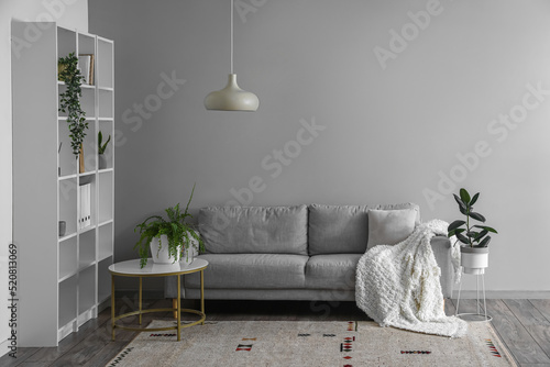 Interior of light living ro...