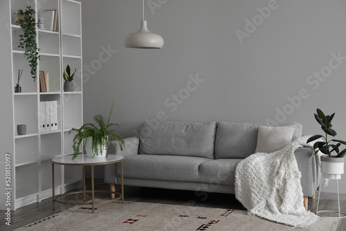 Grey sofa and table with ho...