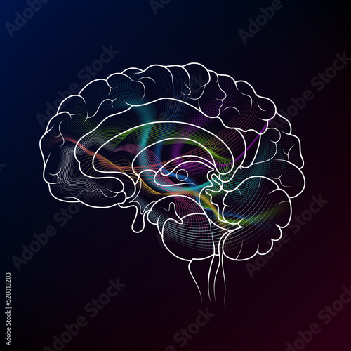 Neuroscience infographic on dark background. Brain cells connectome concept.Neural network, neurons forming a complex map for mind and thinking. 