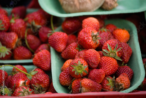Fresh Strawberries