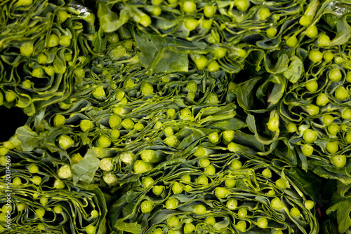 Collard Greens