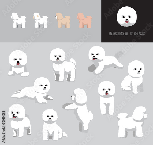 Billede på lærred Dog Bichon Frise Cartoon Vector Illustration Color Variation Set
