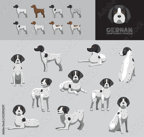 Dog German Shorthaired Pointer Cartoon Vector Illustration Color Variation Set