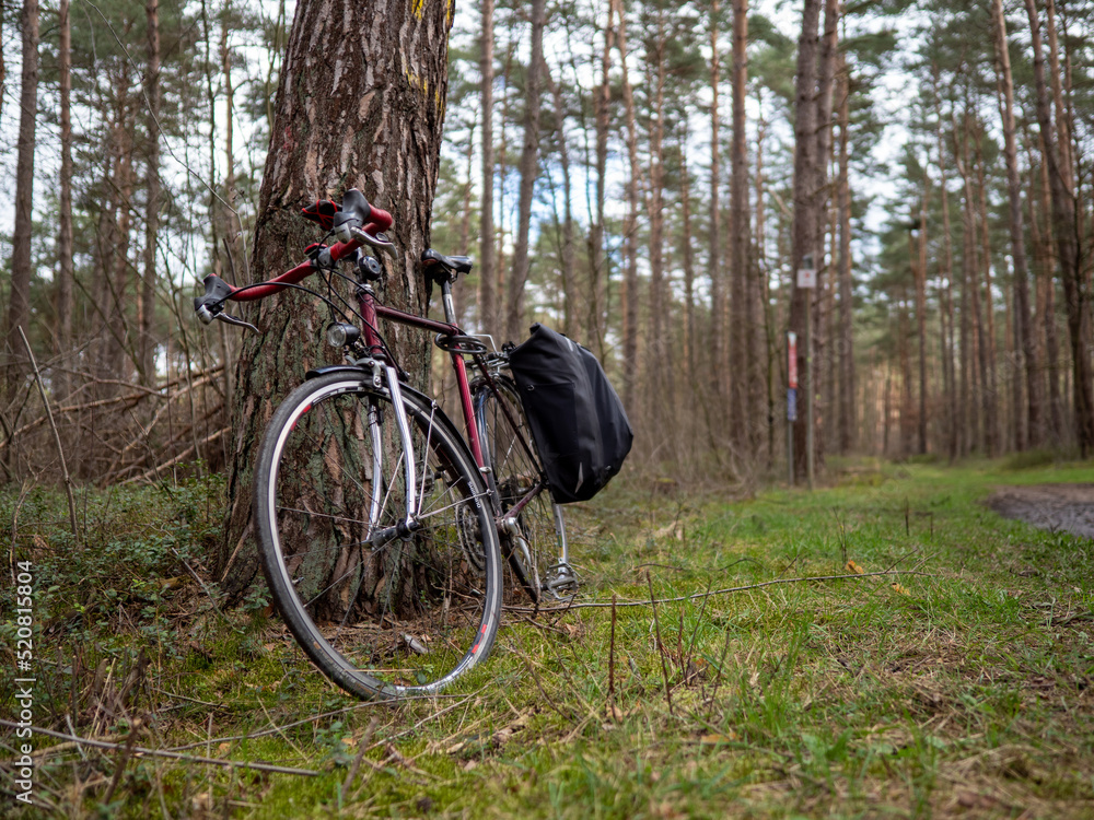 Fototapeta premium Rennrad im Wald