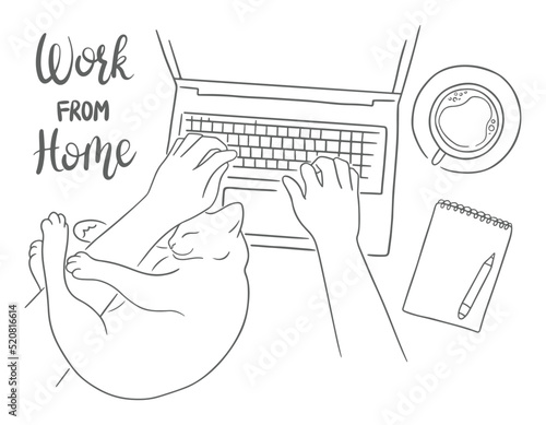Top view sketch illustration with laptop typing hands, sleeping cat, coffee cup and notebook. Work from home concept.